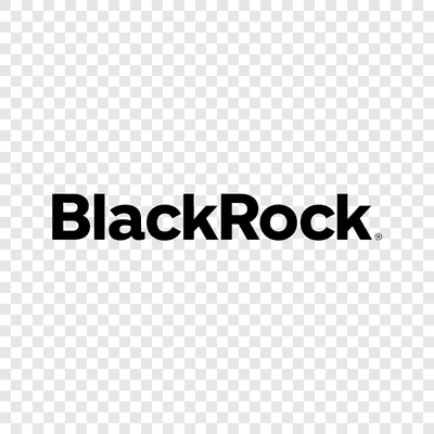BlackRock logo transparent PNG