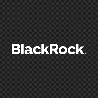 BlackRock white logo