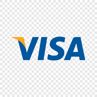 Visa logo 2005–2014